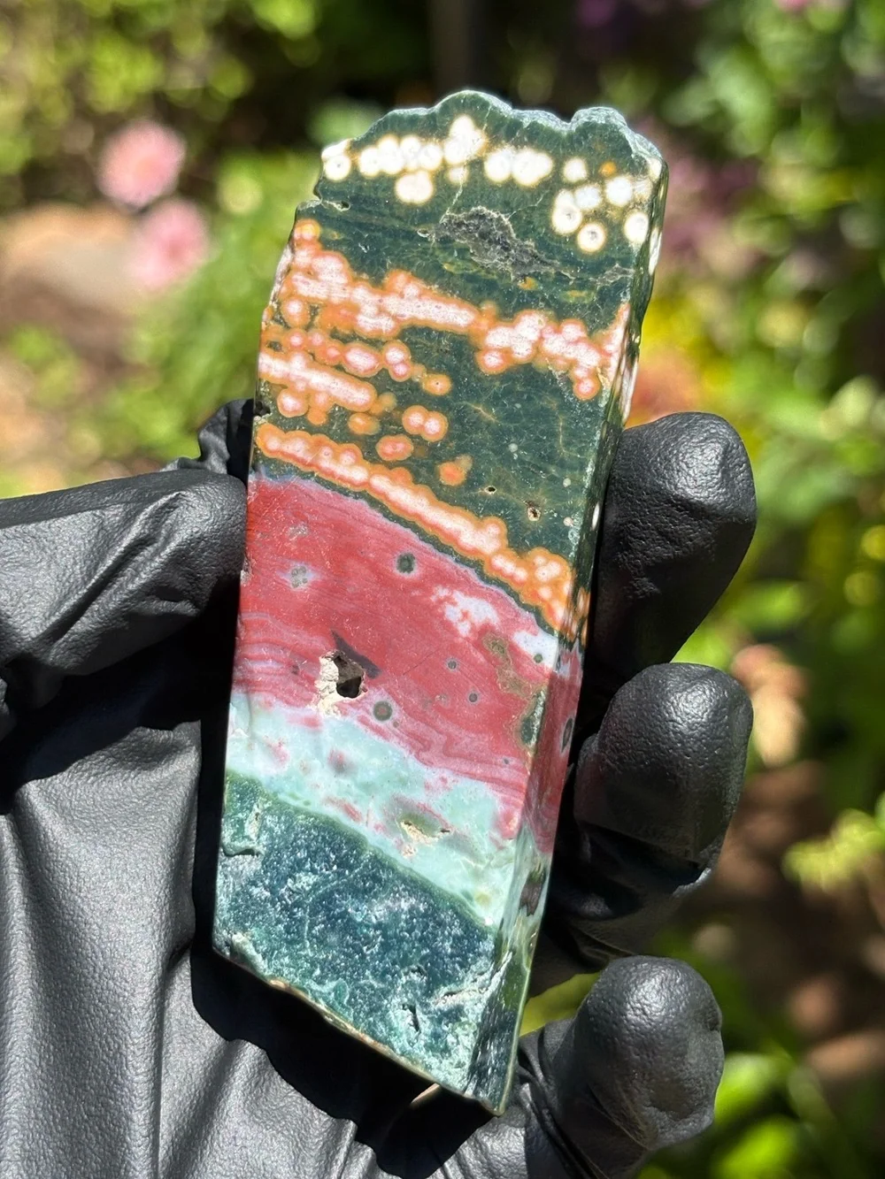 Colorful Ocean Jasper Slab - Druzy Sea Jasper - Polished Orbicular Jasper